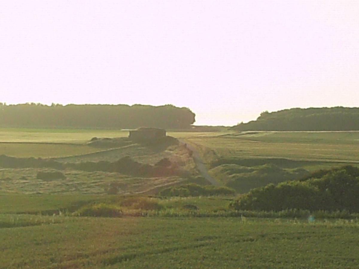 La Clef Des Champs Lägenhet Audinghen Exteriör bild